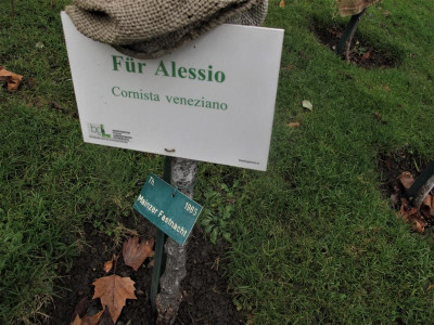 alessio.JPG