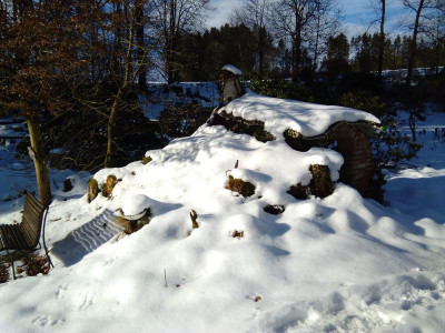 IMG_20210121_104000.jpg