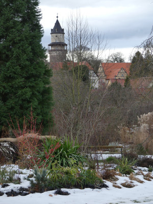 2021-01-21 Gartenimpressionen 1.jpg