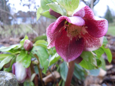 DSCN0570.JPG