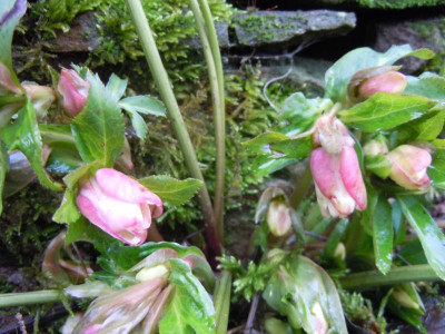 DSCN0568.JPG