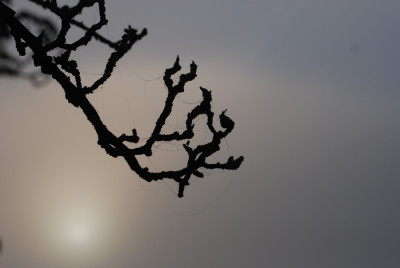 bleiche-Morgensonne-k.jpg