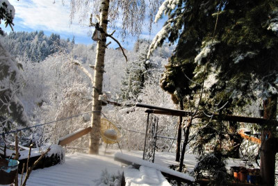 DSC_1901.JPG