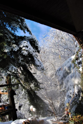 DSC_1902.JPG