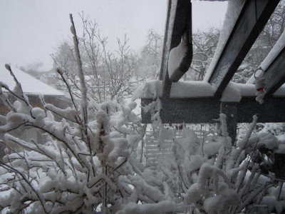 DSCN0578.JPG