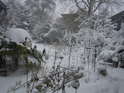 DSCN0581.JPG