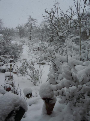 DSCN0580.JPG