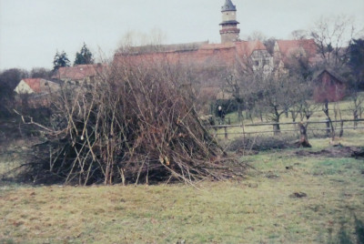 2021-01-24 Garteneinblick alt 1.jpg