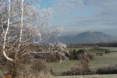 PB300020_1000.jpg