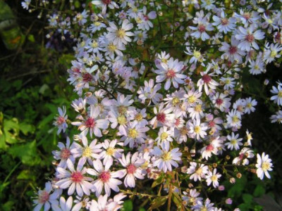 PICT4080ac.JPG