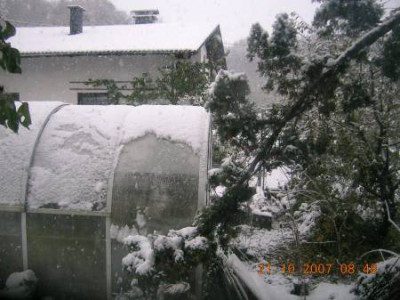 DSCN5154__kl.jpg