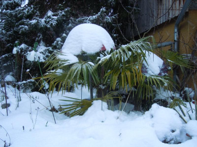 DSCN0603.JPG