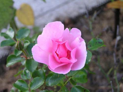 071015_01a.jpg