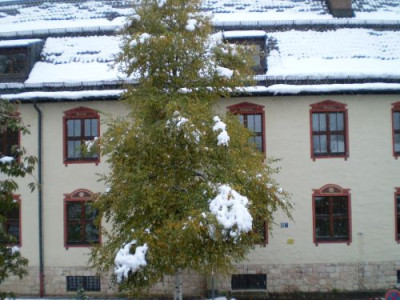 schneeoktober2.jpg