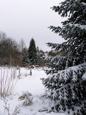 2021-01-30 Gartenimpressionen 2.jpg