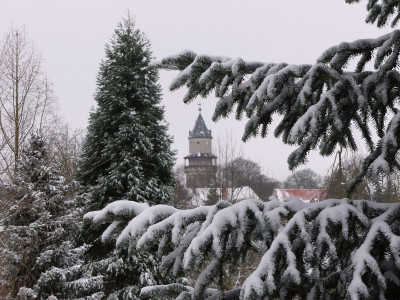 2021-01-30 Gartenimpressionen 3.jpg