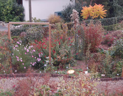 Oktoberbild_vom_Garten_DSC_8498.jpg