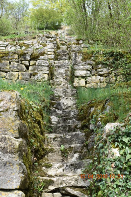 Burgberg Steinheim 011.JPG
