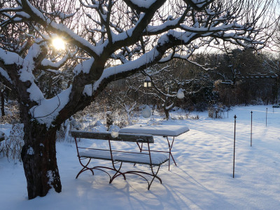 2021-01-31 Gartenimpressionen 25.jpg