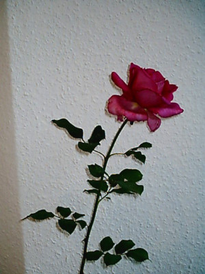 Achim_003.jpg