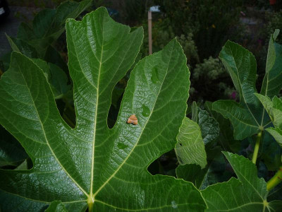 P1060016.JPG