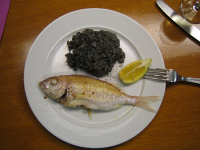 fisch_pur.jpg