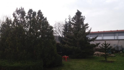 blick-von-vorn.jpg