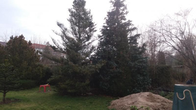 blick-seitlich.jpg