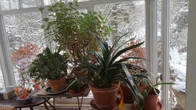 20210202_094506.jpg
