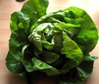 Ernte10231.jpg