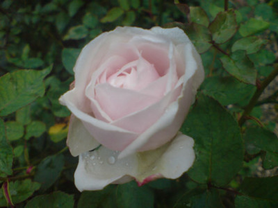 sdm_okt_07_10.JPG