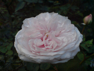sdm_okt_07_11.JPG
