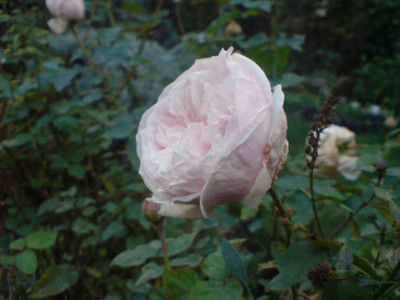sdm_okt_07_23.JPG