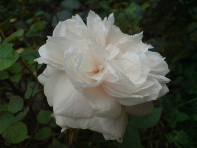 sdm_oktob_07_21.JPG
