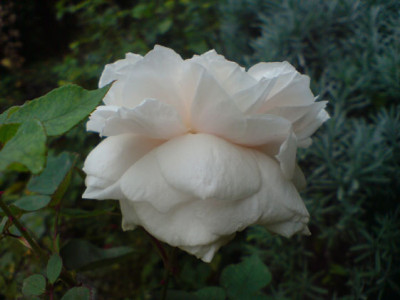 sdm_oktob_07_20.JPG