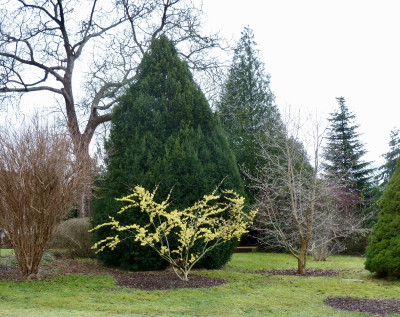 tg_210205.jpg
