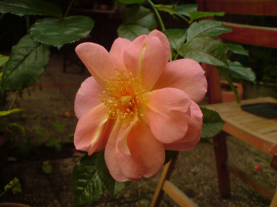 ana_okt_07_5.JPG