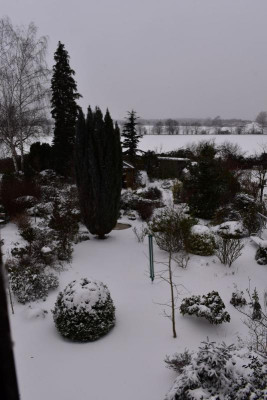 DSC_0264.JPG