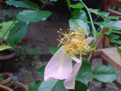 ana_okt_07_7.JPG