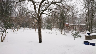 DSC_2756.JPG