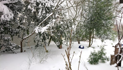 DSC_2754.JPG