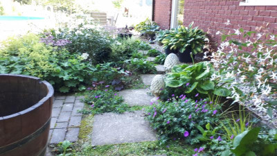20200625_083305.jpg