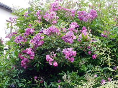 DSCN0644.JPG