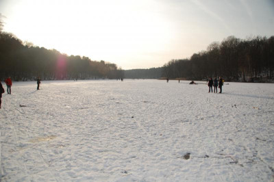 DSC_5728.JPG