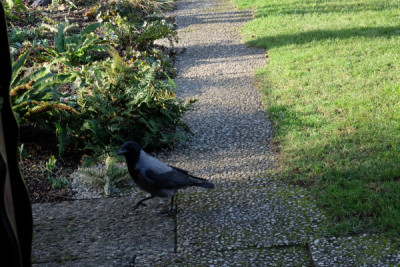 DSCF3486_5178.JPG