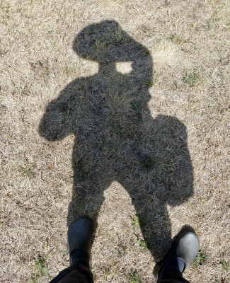schatten.jpg