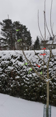 20210209_204037.jpg