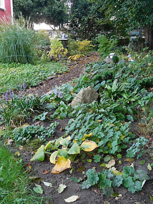 DSCN0970.JPG
