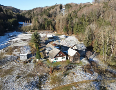 haus_und_garten_dezember2020.jpg