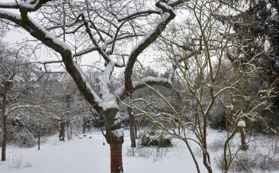 Schneeblick_3.jpg